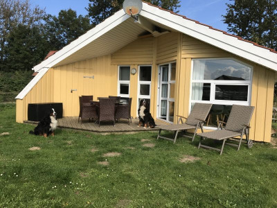 Dänisches Ferienhaus am Naturstrand mit Kamin & Sauna***Hunde willkommen***