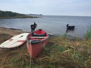 Am Naturstrand einige Minuten zu Fuß vom Haus entfernt - Bild 11: Dänisches Ferienhaus am Naturstrand mit Kamin & Sauna***Hunde willkommen***