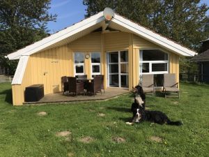 Hier lässt es sich aushalten - Bild 17: Dänisches Ferienhaus am Naturstrand mit Kamin & Sauna***Hunde willkommen***