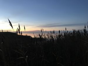 Bild 14: Dänisches Ferienhaus am Naturstrand mit Kamin & Sauna***Hunde willkommen***