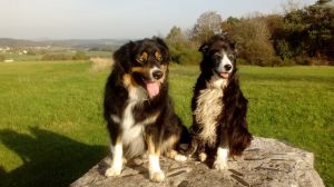 Wunderschöne Aussicht - Bild 13: Casa Benno