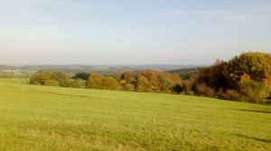 Natur so weit das Auge reicht! - Bild 12: Casa Benno