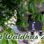 Galeriebild 4