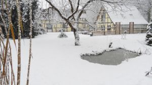 Bild 8: Appartment für Fam. mit Hunden