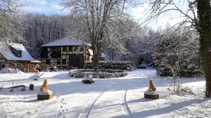 Bild 9: Appartment für Fam. mit Hunden