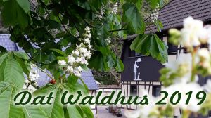 Bild 10: Appartment für Fam. mit Hunden