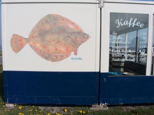 Bild 19: Ferienhaus Friesenkoje im Nordseebad Dangast - für bis zu 8 Personen