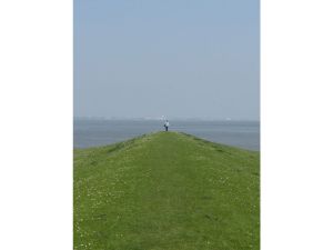 Bild 14: Gemütliche Ferienwohnung Friesenblau OG (60qm ; 3 Personen)