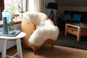 Nehmen Sie Platz - Bild 5: Ferienwohnung "Baltic" Neustadt/Holstein