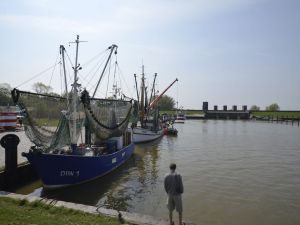 Bild 14: Frische Brise OG - gemütlicher Urlaub in Dangast für 3 Personen auf 70qm