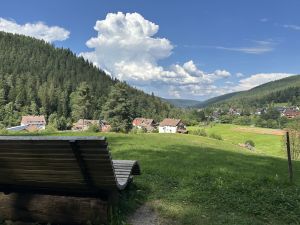 Bild 63: Ferienhaus Süßbächle Enzklösterle Nordschwarzwald Sauna Garten Hunde gratis
