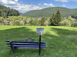 Bild 64: Ferienhaus Süßbächle Enzklösterle Nordschwarzwald Sauna Garten Hunde gratis