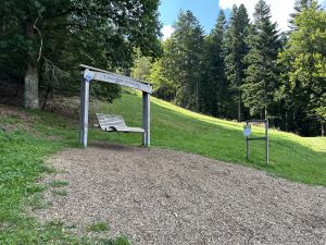 Bild 65: Ferienhaus Süßbächle Enzklösterle Nordschwarzwald Sauna Garten Hunde gratis