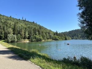 Bild 66: Ferienhaus Süßbächle Enzklösterle Nordschwarzwald Sauna Garten Hunde gratis