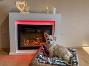 Bild 14: exklusive FeWo Wildbach Infrarotsauna, 2 Schlafzimmer, Garten