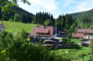 Bild 50: exklusive FeWo Wildbach Infrarotsauna, 2 Schlafzimmer, Garten