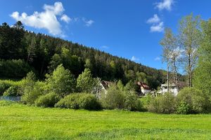 Bild 44: exklusive FeWo Wildbach Infrarotsauna, 2 Schlafzimmer, Garten