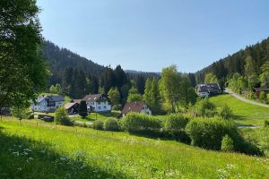 schöne Wanderwege beginnen ab der Haustüre

Heidelbeerweg
Bärlochkar - Bild 45: exklusive FeWo Wildbach Infrarotsauna, 2 Schlafzimmer, Garten