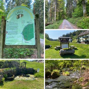 Bild 37: exklusive FeWo Wildbach Infrarotsauna, 2 Schlafzimmer, Garten