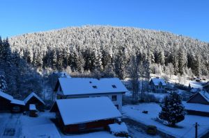 Blick aus dem Fenster - Bild 54: exklusive FeWo Wildbach Infrarotsauna, 2 Schlafzimmer, Garten