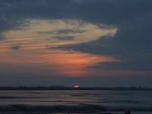 Bild 14: Hübsches Ferienhaus Coyle im Nordseebad Dangast für 4 Personen+Hund (75qm)