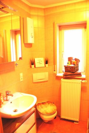 mit großer Glasdusche (0,90 x 0,90m), Spiegelschrank, Fön, Kosmetikspiegel, Waschmaschine & Trockner - Bild 9: Lahnperle mit WLAN - Ihr Zuhause im Lahntal, Kinder Hunde willkommen