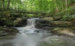 Bild 26: Lahnperle mit WLAN - Ihr Zuhause im Lahntal, Kinder Hunde willkommen