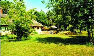 Bild 5: Reethaus Habur am Balaton