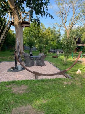 Bild 8: Traum-Ferienhaus für den Ostsee-Urlaub mit mehreren Hunden