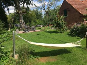 Bild 19: Traum-Ferienhaus für den Ostsee-Urlaub mit mehreren Hunden