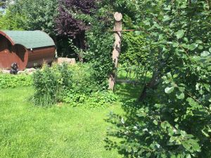 Bild 10: Traum-Ferienhaus für den Ostsee-Urlaub mit mehreren Hunden