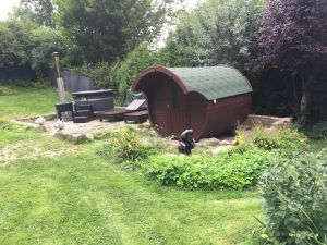 Bild 12: Traum-Ferienhaus für den Ostsee-Urlaub mit mehreren Hunden