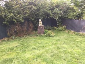 Bild 13: Traum-Ferienhaus für den Ostsee-Urlaub mit mehreren Hunden