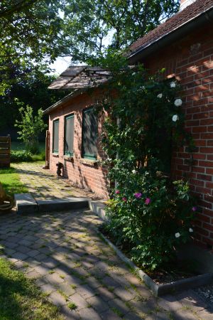 Bild 1: Traum-Ferienhaus für den Ostsee-Urlaub mit mehreren Hunden