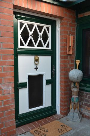 Bild 5: Traum-Ferienhaus für den Ostsee-Urlaub mit mehreren Hunden