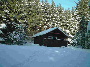 im Winter..... - Bild 7: Ferienhaus Arthur