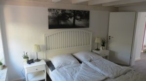 Bild 4: Ferienhof Pfotenglück in der Eifel Einheit Bachlauf