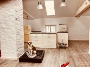 Bild 4: Ferienhof Pfotenglück in der Eifel Einheit Waldblick