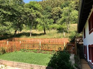 Bild 13: Ferienhof Pfotenglück in der Eifel