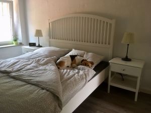 Bild 17: Ferienhof Pfotenglück in der Eifel