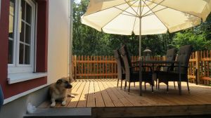 Bild 18: Ferienhof Pfotenglück in der Eifel