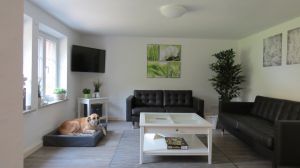 Bild 19: Ferienhof Pfotenglück in der Eifel