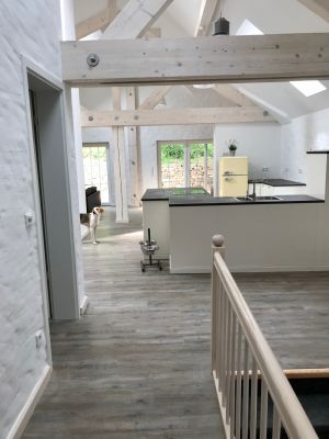 Bild 4: Ferienhof Pfotenglück in der Eifel