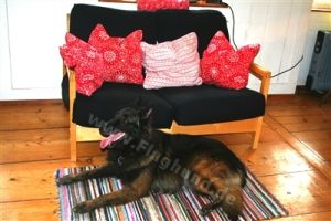 uriges Wohnzimmer mit Blick in den Garten und die Natur - Bild 1: Haus Sonnenwinkel im Schwarzwald mit eingezäunten Garten