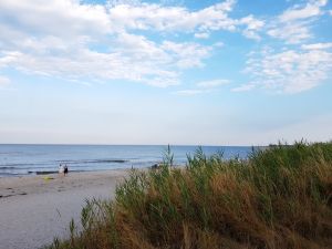 Bild 18: Ferienhaus Kleine Waldkate, 3 Hunde, 2000 m² Garten eingezäunt, ruhige Lage