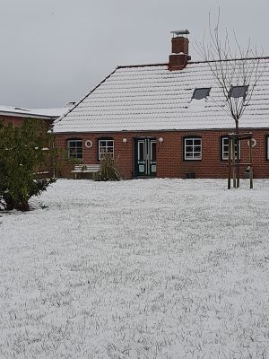 Bild 14: Ferienhaus Kleine Waldkate, 3 Hunde, 2000 m² Garten eingezäunt, ruhige Lage