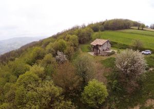 Bild 3: Urlaub in Süd-Piemont mit dem Hund