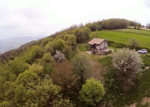 Bild 15: Urlaub in Süd-Piemont mit dem Hund