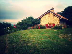 Bild 21: Urlaub in Süd-Piemont mit dem Hund