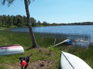 Bild 23: Holzhaus wo der Elch wohnt in Ekshärad Värmland, Mittelschweden, Ruderboot